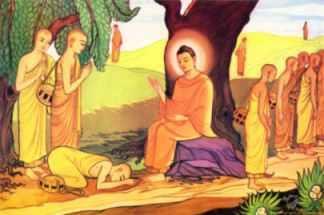 Main Beliefs of Buddhism Buddhists do not believe in