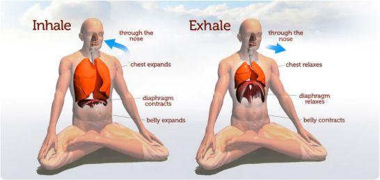 Step 1: Regain Natural Breathing Diaphragmatic Breath / Belly