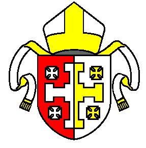 DIOCESE OF LICHFIELD INSTRUMENT OF DELEGATION OF EPISCOPAL FUNCTIONS TO AREA BISHOPS At the meeting of the Diocesan Synod of the Diocese on [xx] day of March 2017 it was resolved that This Synod