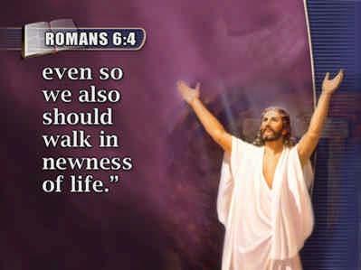 we also should walk in newness of life. Verse 4. There you have it.