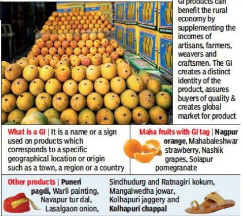 Alphonso from Ratnagiri, Sindhudurg, Palghar, Thane and Raigad districts of Maharashtra, is registered as Geographical Indication (GI).