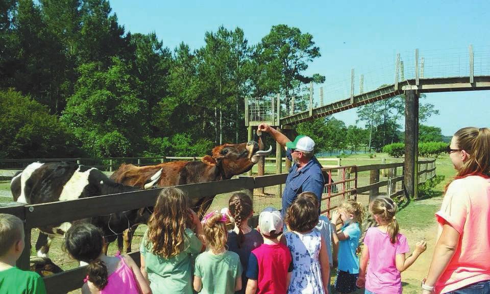 Wilson s classes visited Rutland Farms in Tifton.