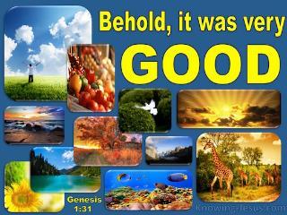 Genesis 1:31 God saw all that He had made, and behold, it was
