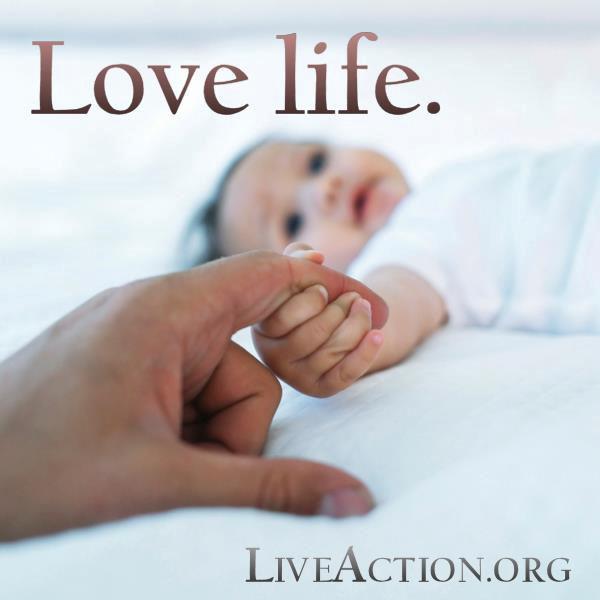 Celebrate Life All parishioners are kindly invited to join us as we pray for the unborn, the ones that cannot speak for themselves.
