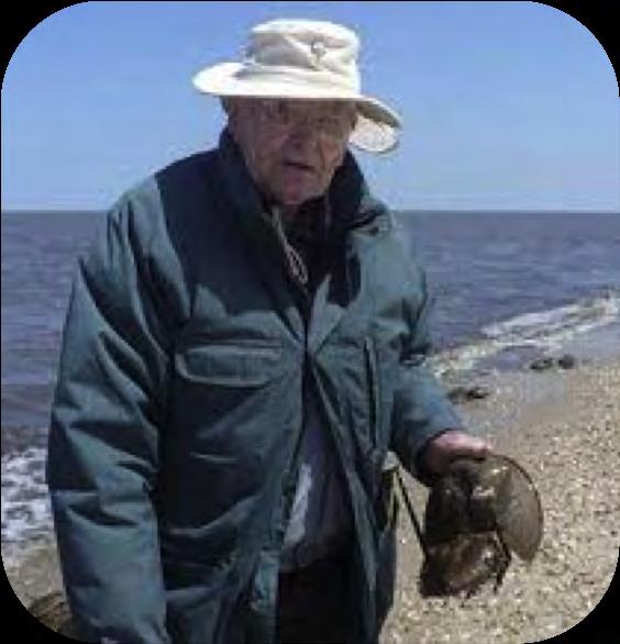 Through Carl I have met other people with similar qualities, who share a common interest in horseshoe crabs. This has been stimulating, and has broadened my knowledge. Carl and Dr.