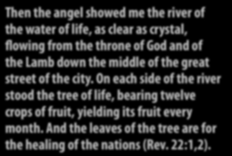 Then the angel showed me the river of the water of life, as clear as crystal, flowing from the throne of God and of the Lamb down the middle of the great street of the city.