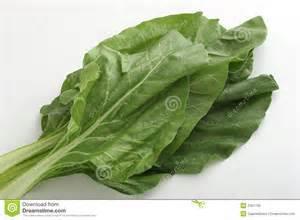 Superfood # 1 - Watercress Superfood # 2 - Chinese Cabbage