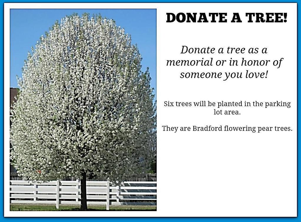 If you would like to donate one of the trees in memorial or in honor of a loved one, please see Ed Tjelmeland or contact the church office. The trees, including tax and planting fees, cost $150 each.