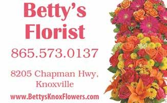 com Office (865) 577-2100 Fx (865) 577-4245 Cell (865) 257-2566 6336 CHAPMAN HIGHWAY KNOXVILLE, TN 37920 summer with n extended vction, week-long trip, or one-dy dventures--- be sfe, hve fun, nd find