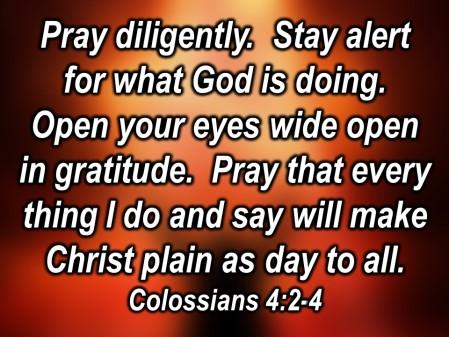 Therefore, pray diligently. Stay alert for what God is doing. Open your eyes wide with gratitude. J Pray that everything you do, that I do and say will make Christ plain as day to all.