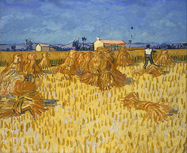 WEEK 1 DAY 4 Harvest in Provence by Vincent van Gogh Mark 2:23 - Mark 3:1-12 (NIRV) Lord of the Sabbath, Many follow Jesus One Sabbath day Jesus was walking with his disciples through the grainfields.