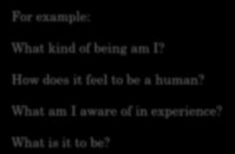Questions about human psychology (phenomenology) What does it feel like to be a human? Why do people do the things they do? Why are people afraid of freedom? Why do people commit suicide?
