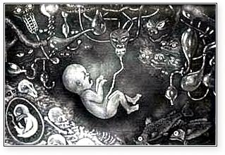 BPM III: Cooperation with the mother BPM IV: Separation from the mother The Perinatal Experiences and our basic attitudes Grof has been able to prove that a huge amount of our stubborn thought
