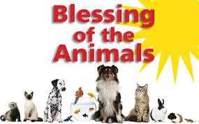 The Union Church Blessing of the Animals will take place at 4:00 PM on Sunday, August 14, 2016 on the McPheeters lawn at the corner of Lester B.
