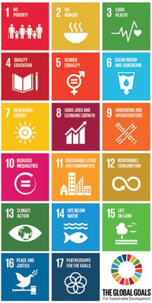 The Sustainable Development Goals Day 14 In September of last year the Millennium Development Goals, the MDGs, came to an end and were replaced by a set of Sustainable Development Goals which have