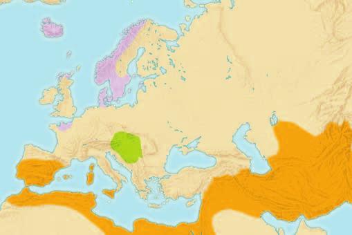 Invasions of Europe c. A.D. 800 1000 0 40 E 20 E KEY 60 N 60 E 80 E 500 mi.