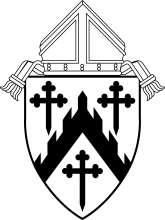 DIOCESE OF DAVENPORT Policies Relating to The Liturgical Ministry of the Deacon These pages may be reproduced by parish and Diocesan staff for their use Policy promulgated at the Pastoral Center of