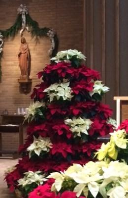 RIVERSIDE, OHIO December 9, 2018 Christmas Season Masses and Special Ways to Help Monday morning, December 24, at 8:30: (Note: There is NO 8:15 a.m. Mass on December 24.