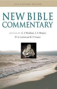 How to Read the Bible through the Jesus Lens presents Christ as the central focus of each biblical book and the primary way the Bible relates to contemporary circumstances.
