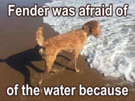 Well, that may be true, it may be too cold for him and he may not have liked it but the real thing, I think, was Fender was afraid.