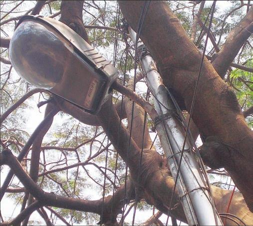 Lamp post may topple over A street light post on Brindavan Street Extension, near Arya Gowda Road, West Mambalam is