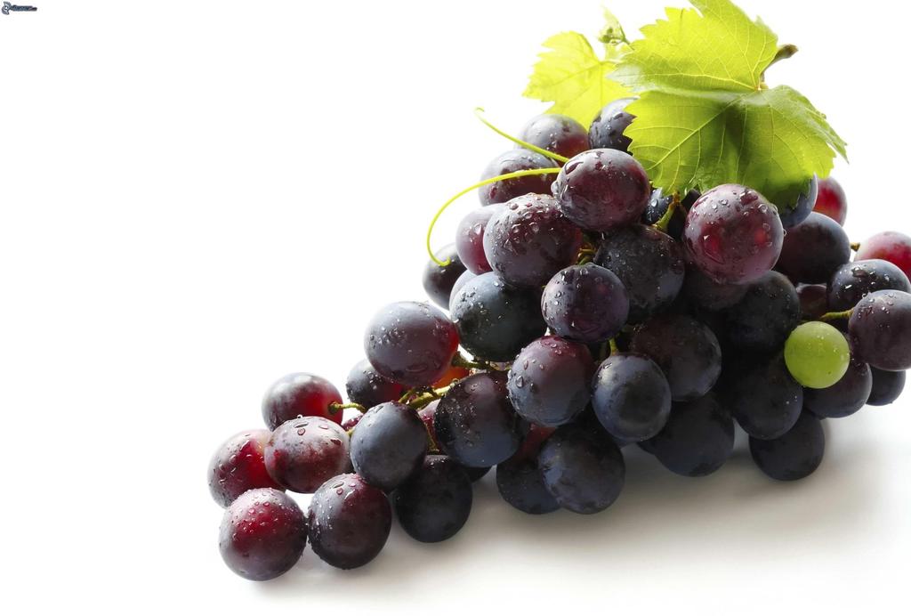 וכרמך לא תעולל There are 3 categories of grapevine: 1. כתף A full bunch of grapes that belongs to the owner. 2.