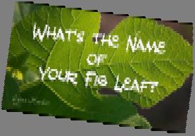 shall have mercy. What s your fig leaf?