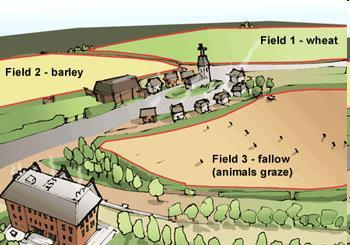 Agricultural Innovations Three-Field System Older method was 2 field rotation WHEAT /