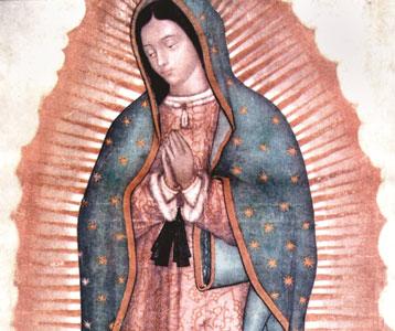 OUR LADY OF GUADALUPE 5 OUR LADY OF GUADALUPE BANNER AND THE MIRACULOUS IMAGE Listen and let it penetrate your heart do not be troubled or weighed down with grief.