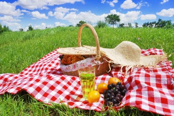 CVCC ANNUAL PICNIC!! The CVC picnic will be held at Bennett Memorial Park,14 Shelter Rock Rd, Bethel CT on Sunday, August 12th at Noon.