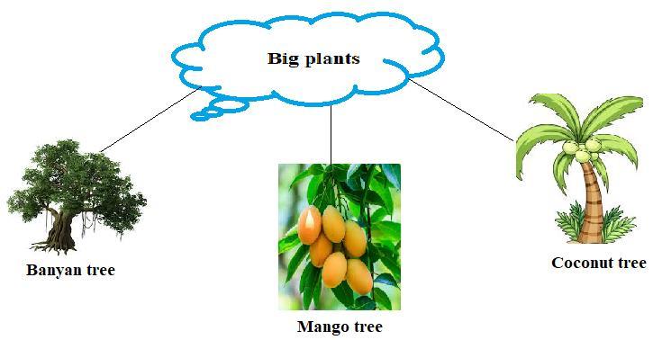 3- Write the names of small plants? Ans- 4- What are trees?