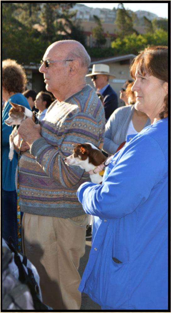 Francis - Blessing of the Animals 10-4-17 UPCOMING