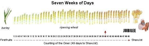 Shavuot serves to unite the nation, the community unlike all other Feasts we are united by Torah, and the Ruach Hakodesh (Holy Spirit). It connects to our inheritance and to our Messiah.