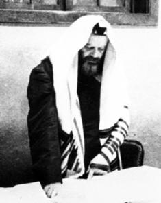 the Rebbe advised to use some of the wine that had been prepared for havdalah.