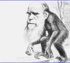 Progress in evolutionary history Sean Carroll [Nature Review]