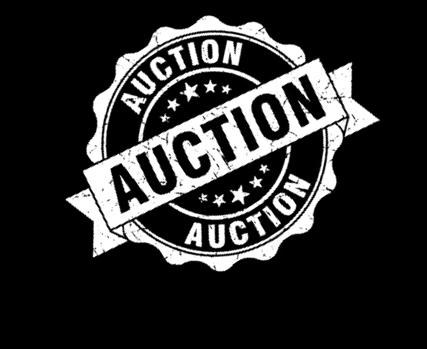 They are in need of 2 more people for the night of the auction as well as 3 5 people to call potential