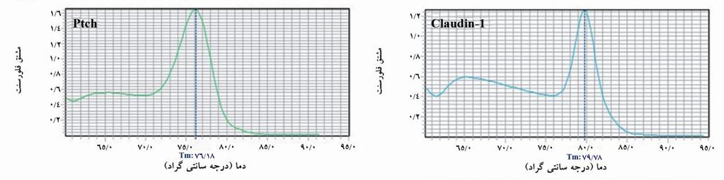 اػتابد )curve بیانیژنClaudin-1