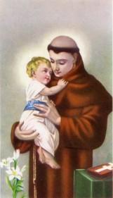 SUNDAY COLLECTION May 25 & 26 $ 9,217 Envelopes Mailed 1,959 Amount Needed $13,425 Envelopes Received 432 NOVENA IN HONOR OF SAINT ANTHONY The annual novena in preparation for the feast of Saint