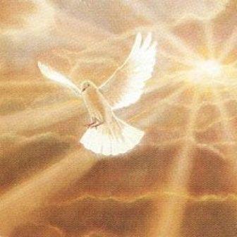 God the Holy Spirit is a person The Holy Spirit engages in personal relations Then the Spirit said unto Philip, Go near, and join thyself to this chariot.
