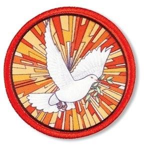 Due Dates for Confirmation Oct 3 Orientation Oct. 9 or 10 Interview with Director Confirmation Guidelines Nov. 1 Make sure you have baptismal record on file at parish. Dec.