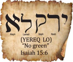HEBREW WORD STUDY NO GREEN HEBREW WORD STUDY NO GREEN YEREQ LO לא ירק Isaiah 15:6: For the waters of Nimrim shall be desolate, for the hay is withered away, the grass faileth, there is no green thing.