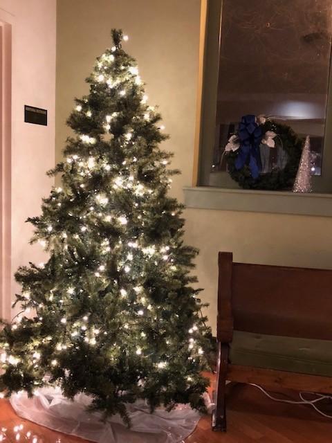 The Caring Ministers have provided a way to express these losses and sorrows for the past years. Each weekend through Advent the blue Christmas tree will be lit in the rear of the sanctuary.