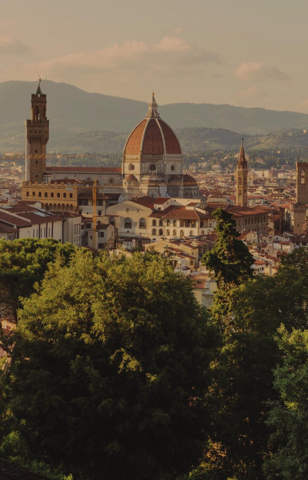 DAY 13: SAT. JUNE 29 FLORENCE AND THE RENAISSANCE: THE ACADEMIA The Galleria dell Accaemia is another institution that dates back to the Renaissance as the first school established to teach fine arts.