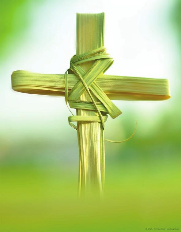 JOACHIM 9:15AM CANDE SEGOVIA -FR. JC 11:00AM FRANK, MARIA, REGINA & CONNIE PATCHETT-FR. PAUL The Priest scheduled to celebrate the Mass IS SUBJECT TO CHANGE.