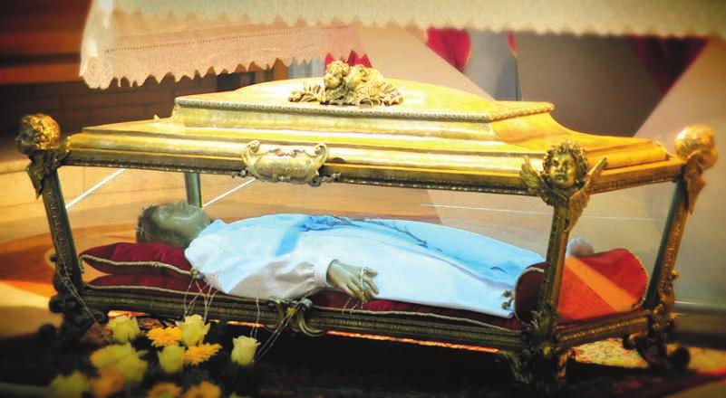 PILGRIMAGE OF MERCY KNOWN AS THE PATRONESS OF PURITY, the major relics of St. Maria Goretti will make a pilgrimage to the United States from September to November of this year.