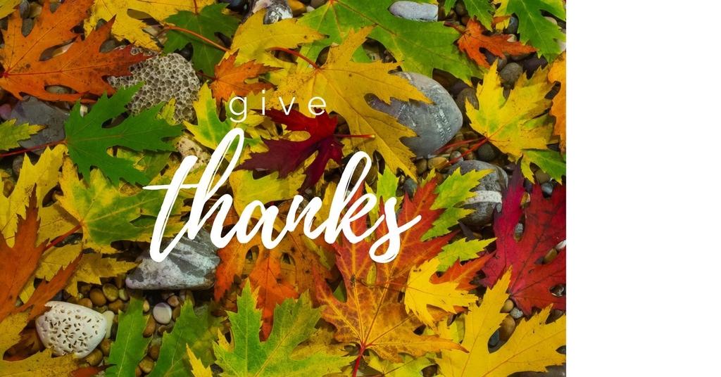 THE UPDATE Celebration Sunday Sunday, Nov. 19, 10:35 a.m. (Note: only one worship service that morning) As we prepare for the coming holidays, we are reminded this is a season to give thanks.