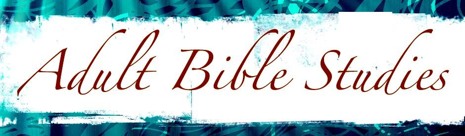We will commence on Sunday, January 15 with a new book: Fierce: Women of the Bible and Their Stories of Violence, Mercy, Bravery, Wisdom, Sex, and Salvation," by Alice Connor.