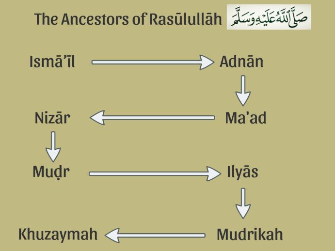 The Ancestors of Rasūlullāh Now let us look at the ancestors of our Rasūlullāh as mentioned by Imām Bukhāri in his Ṣaḥīḥ.