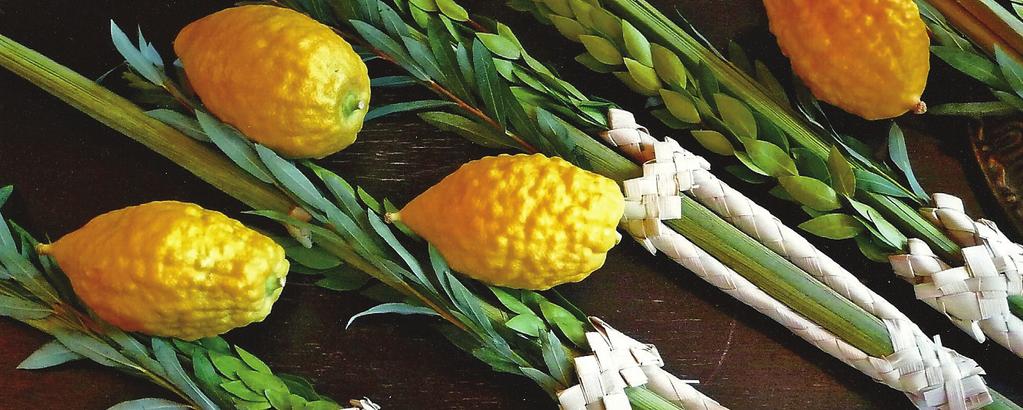 SERVICE TIMES FOR SUKKOT (continues) SERVICE TIMES FOR SHEMINI ATZERET INTERMEDIARY DAYS OF SUKKOT (CHOL HAMOED) WEDNESDAY, THURSDAY, FRIDAY OCT 19 21, 2016 Morning services... 7:15 a.m.
