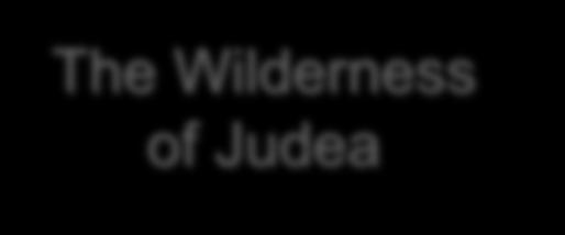 24 The Wilderness of Judea Now in those